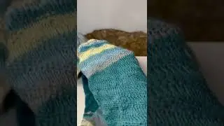 Thigh high 🧦 socks: Keeping Warm this Winter!