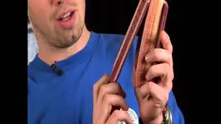 Different sounds on a box call