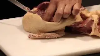 F. Dick CUT: Duck