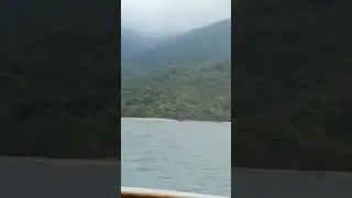 Travessia Ilha Grande 🏝️ Angra dos Reis 🏝️ Barca Vila do Abra&atilde;o 🏖️ #nature #wildlife #ilhagrande (1)
