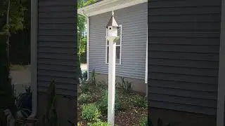 front porch number 10
