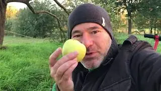 Augen auf in der Natur / Äpfel von der Streuobstwiese