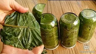 🥬Pazıdan salamura🥬şaşıracağınız hiç görmediğiniz garantili bir tarif pazı salamurası...