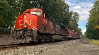 Canadian National Power on Q433, & UP on Q434!