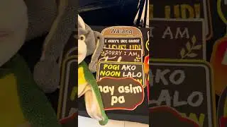 4th Year Anniversary Wrap Up Video