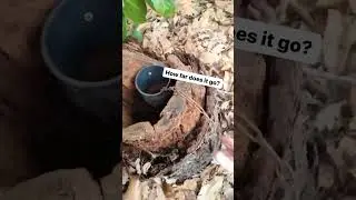 A #geocache at the CENTER OF THE EARTH?! 🌍 #shorts