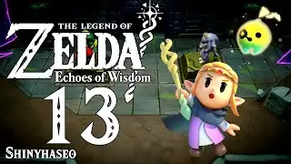 The Legend of Zelda Echoes of Wisdom Part 13 - We fight Lord Jabu-Jabu