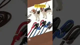 Dog Leash Slip Rope Lead Leash Strong