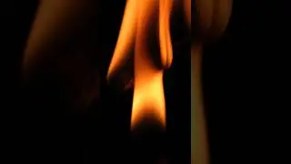 7artisans 60mm f2.8 macro ii lens video sample #shorts #video #fire