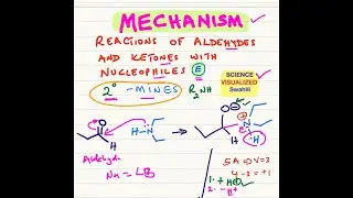 Mechanism-Secondary amines with ketones and aldehydes to form enamines