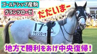 【ゴールドシップ産駒】中央復帰のグランツローゼからのただいまーのファンサが可愛すぎた