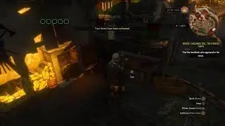 The Witcher 3 : Wild Hunt | PS5 Live Gameplay (Part 113)