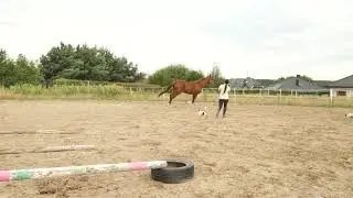 Nugat - zakończenie