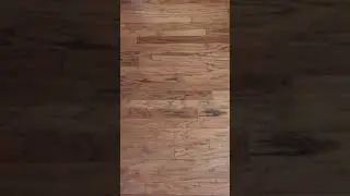 Pug screaming to go walking