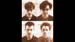 McCarthy live in Ch&acirc;tenay-Malabry, France, 27/1/1989