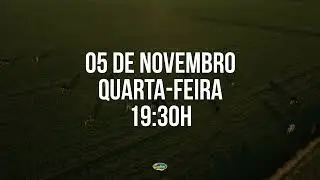 VT 1&ordm; Leil&atilde;o Parceiros - STgenetics Legend