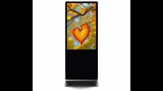 Digital Standee by NewtonSky5 | Smart Advertising Display | Pan India Delivery