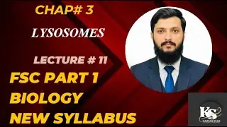 3.11 lysosomes #fscpart1 Biology 11 new syllabus #fscpart1 #biology11 #biology #chapter3