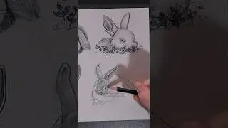 Como desenhar coelho #drawing #sketch #aesthetic #art #easy #desenho #arte #coelho #rabbit #bunny