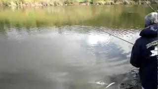 NEW LAKE RECORD - LAKE LAGUNA NIGUEL - ANGLERBROS