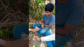 tamuk potty fani video