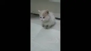 твори добро