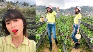 36 hours in baguio / benguet