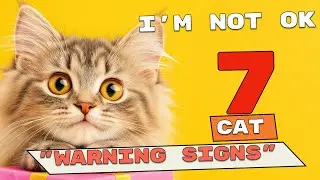7 Cat SOS Signals You Must Catch Early (Vet Explained)