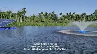 Aquaculture equipment Floating Solar Fish Pond Aerator