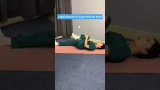 Lower Back Disc Self-Rehab: Just 5 Minutes a Day to Relieve Pain & Strengthen Your Back