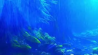 Upbeat 432hz Frequency Music With Rain Views For Relaxation, Sleep, And Overall Wellness 🛌⚡️