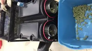 Gladiator trimmer in action