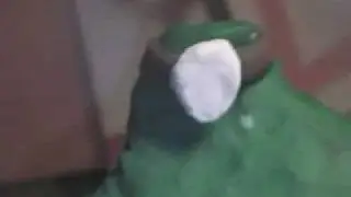 bumbo