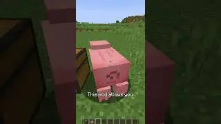 Superfast Minecraft Mod Review! pt. 19