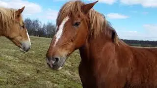 20170430 154515