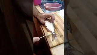 Bela riba - kako je narezati? ... White fish - How to cut it??