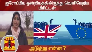 ஐரோப்பிய ஒன்றியத்திலிருந்து வெளியேறிய பிரிட்டன் - அடுத்து என்ன?  | Report from London