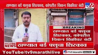 Thane Bird Flu News | ठाण्यात बर्ड फ्लूचा शिरकाव, कोपरीत चिकन विक्रीवर बंदी