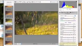 Mac workflow uncompressed camera raw 14-bit