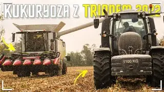 🔥Żniwa z Trionem!🔥Nowy Nabytek w akcji!🔥QQ 2022!🔥GRU Witeczek!🔥