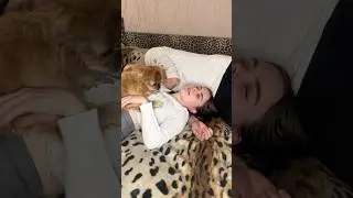 Шок Собачка Избила Родителей #короткиевидео