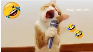 Funny Cats & Dogs Fails 🐶😸| Try Not To Laugh Challenge