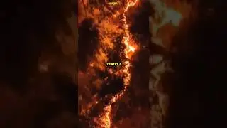 Korean Netizens Pressure Jennie To Donate For South Korea Wildfire