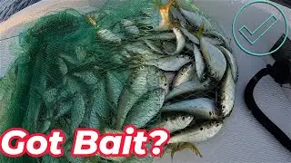 Throwing A Cast Net From A Boat - How To Find, Approach, & Stack TONS Of Bait Fast