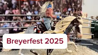 Breyerfest 2025 Best Customs Contest Winners