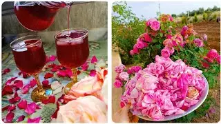 طريقة تحضير شراب الورد المركز منعش وباااارد 🌺