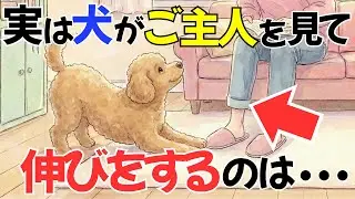 【衝撃】知らずに見逃してない!? 犬のよくする行動に隠された本当の気持ち12選｜犬雑学