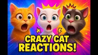 🔴 LIVE: Talking Tom&rsquo;s HILARIOUS Day! 🤣 Live Stream for Cat Lovers | Episode 17