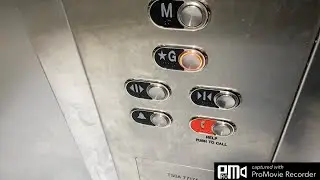 (August 2025 Update) Modded Dover Impulse Hydraulic Elevator @ Loblaws Bullock Dr, Markham, ON