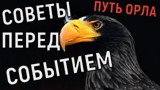 Hustle Castle ❗ Советы перед событием Путь орла ❗  pre-event tips